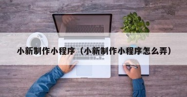 常宁小新制作小程序（小新制作小程序怎么弄）